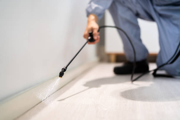 Bed Bug Pre-Treatment Preparation Assessment in Gladwin