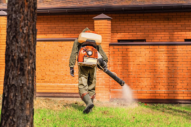 Bed Bug Clearance Verification and Documentation in Gladwin